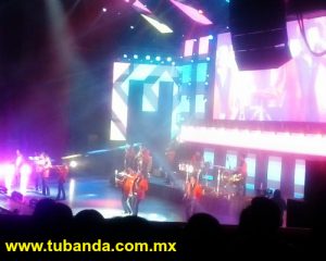 Banda MS 5