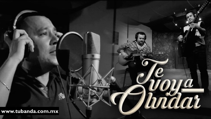 Los Buitres de Culiacán - Te voy a olvidar