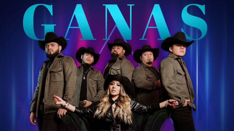 Grupo VILAX